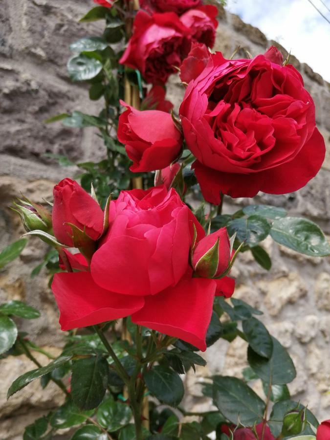 Bed and breakfast Mario Relais